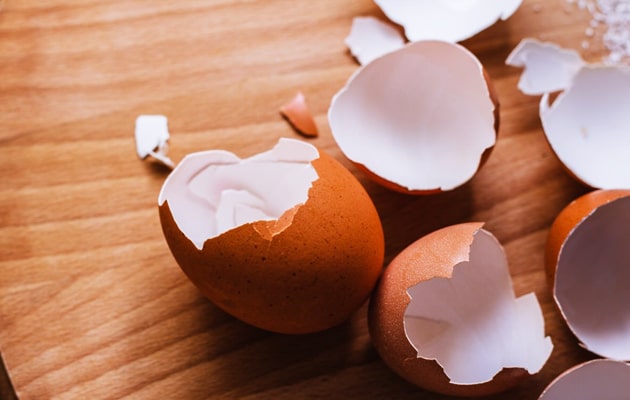 Importance-of-Eggshells-for-Houseplants